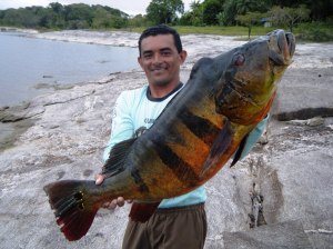 Guide-Aldeni-Elvis-Fonseca-with-28-pound-peacock-bass